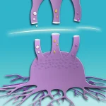 Не только сахар: рак использует альтернативные источники энергии для роста. Как это остановить