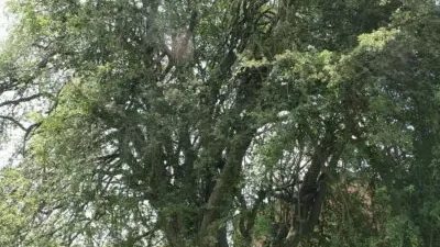 Лето Святого Мартина: тёплые дни в ноябре