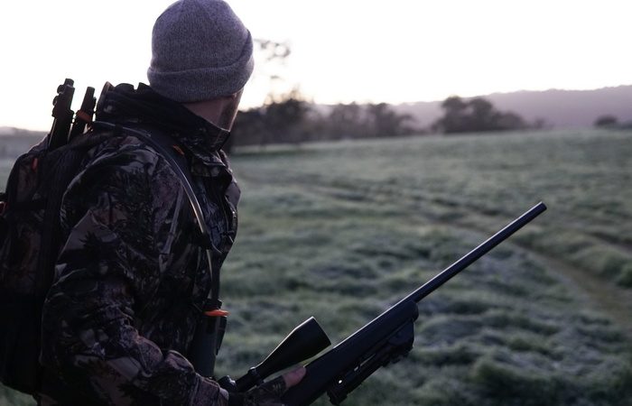 Elle Hughes/pexels.com/СС0 | Epoch Times Россия