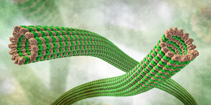 Найдено ли место, где возникает сознание?