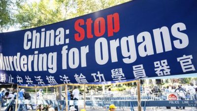 Более 505 000 человек подписали петицию против насильственного извлечения органов в Китае