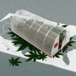 Анализ: Синдикаты, связанные с компартией Китая, захватили чёрный рынок марихуаны в США