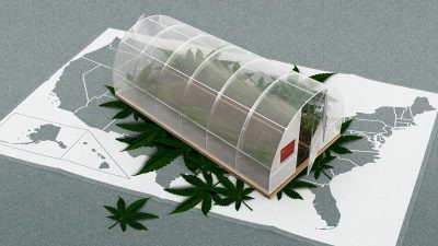 Анализ: Синдикаты, связанные с компартией Китая, захватили чёрный рынок марихуаны в США