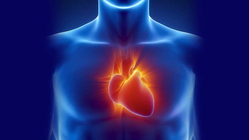 (fnkc-fmba.ru) | Epoch Times Россия