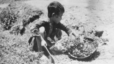 Реальные истории о Великом голоде в Китае с 1959 по 1961 год