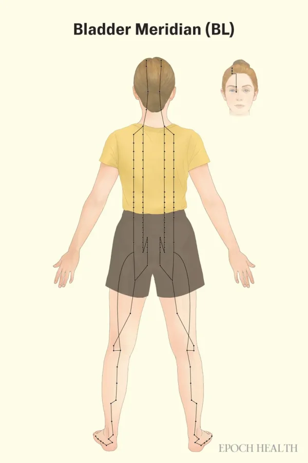 ����� ��� ��������, ��������� � ������ ������������� ����, � ��� ��������� ������������ ����