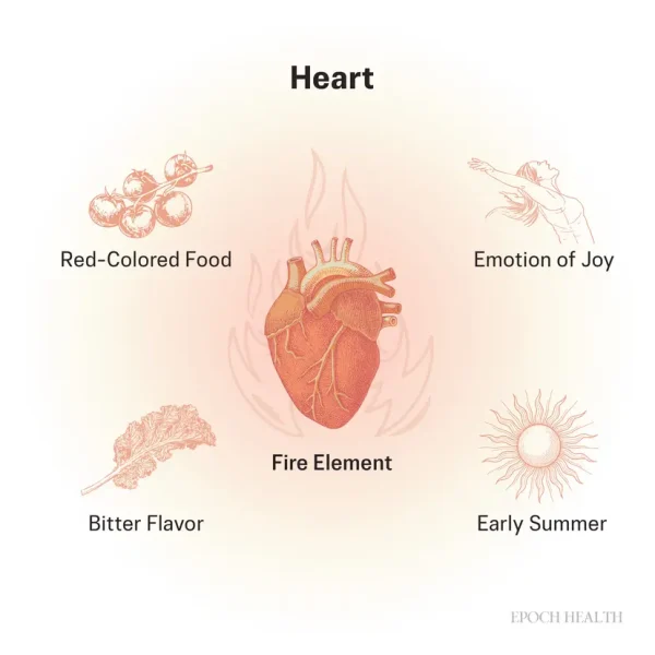 Сердце — главный орган, управляющий радостью