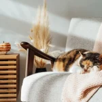 Бюджетные способы сделать ваш дом уютнее