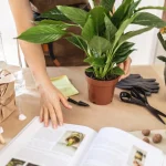 Уютные вечера с отличными книгами о садоводстве