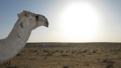 В пустынях Саудовской Аравии выпал снег (видео)