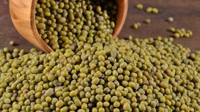 Огромная польза бобов мунг для здоровья