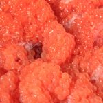 С какой запрещённой добавкой красная икра опасна для здоровья