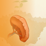 Как чрезмерные переживания могут привести вас к болезни