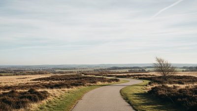 Оставляйте дорогу немного шире, чтобы те, кто придёт позже, могли пройти. (Google Whisk)