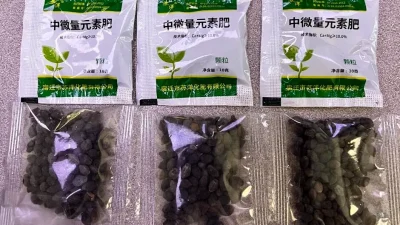 Техасцы сообщают о резком росте поставок загадочных семян из Китая