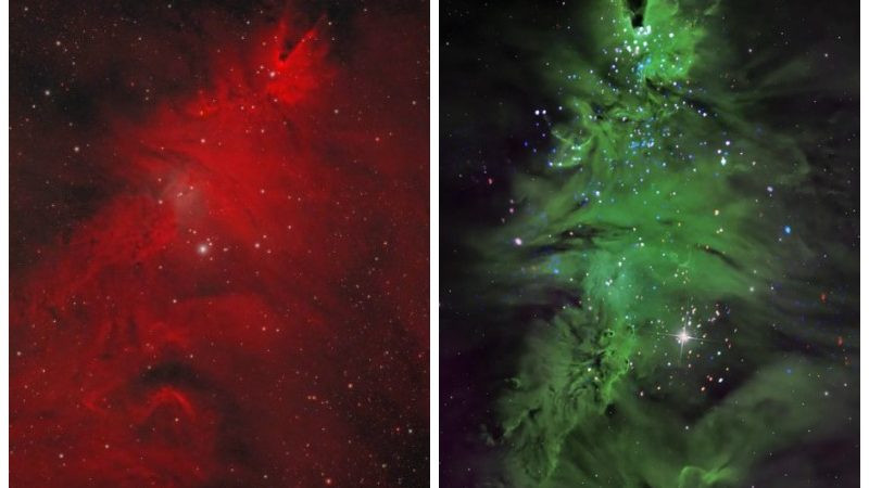 Туманность NGC 2264 или «Рождественская ёлка». (Коллаж ЕТ/Роскосмос/NASA)