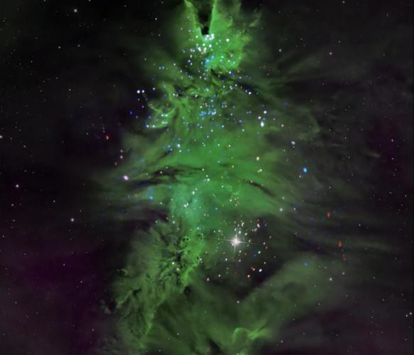 Туманность NGC 2264 или «Рождественская ёлка». (NASA, 2025 год)