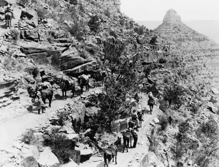 Как братья Колб превратили Гранд-Каньон из забытой пустоши в популярное туристическое место