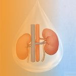 Как страх может повлиять на работу почек