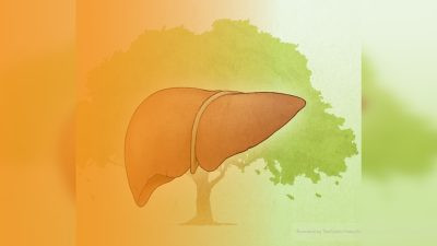 Печень регулирует поток ци, и как гнев может нарушить его