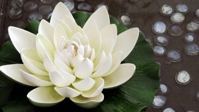 Небесное прозрение: необыкновенное видение древних китайских врачей