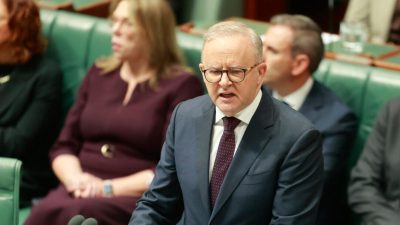 Alt-текст: Энтони Альбанезе выступает в здании парламента Австралии в Канберре.