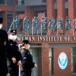 Эксперты: Вирус Нипах с уровнем смертности 40—75% может вызвать новую пандемию, сходную с COVID-19