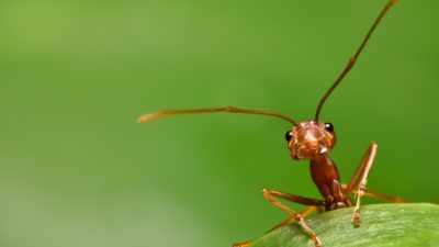 Показать заблудившемуся существу дорогу, успокоить его и помочь ему найти своё место — разве не в этом заключается истинная доброта?