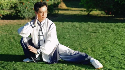 Ту Цзин-Вэй выполняет сложный элемент тайцзи в низкой стойке на зеленой траве.