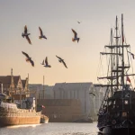 Куда поехать за границу в 2026 году