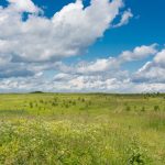 Россияне смогут купить заброшенные участки сельхозземель за 1 рубль