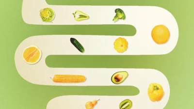 Разнообразные овощи и фрукты (брокколи, авокадо, кукуруза), расположенные на пути, имитирующем извилистый кишечник, что символизирует процесс усвоения нутриентов бактериями