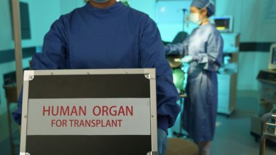 Контейнер для транспортировки человеческих органов для трансплантации в руках хирурга.