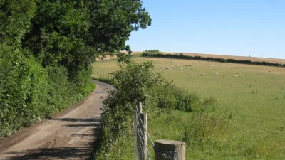 Узкая проселочная дорога, проходящая через зеленые поля Англии, построенная на основе римского пути.