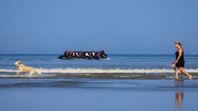 Собака бежит по пляжу вдоль берега океана.