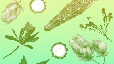 Горькая пища стимулирует работу кишечника и сердца.