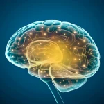 Удивительные способы, которыми мозг в пожилом возрасте может продолжать развиваться и становиться сильнее