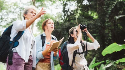 Наблюдение за птицами.
