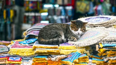 Полосатый кот спит на стопке декоративных ковров и подушек на турецком рынке.