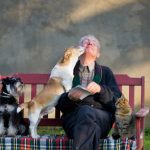 Интуиция у животных: способность чувствовать смерть и опасность