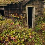 В Сибири началась конфискация заброшенных дач: первые 13 участков ушли государству