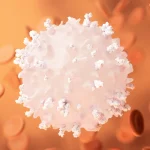 Как помочь лимфоцитам бороться с раком