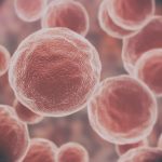 Холодное тело и рак