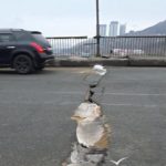 «Доширак» против ям: как горожане отремонтировали Рудневский мост во Владивостоке