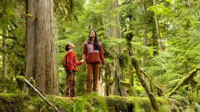 Дети лучше, чем взрослые,