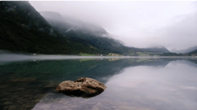 В жизни действует тонкий закон: когда ваши добродетели сильны, вредные люди и обстоятельства не могут резонировать с вашей энергией. (shutterstock.com)