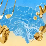 Мозг сохраняет гибкость в среднем возрасте, если выработать эти 4 привычки