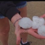 Аномальный град разгромил зоопарк в США и пробил машины насквозь (видео)