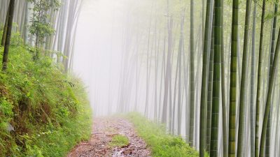 Природа служила фоном — ветер, вода, животные.