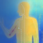 Меридианы: как множество симптомов возникает из-за закупорок в организме